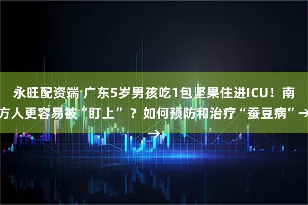 永旺配资端 广东5岁男孩吃1包坚果住进ICU！南方人更容易被“盯上” ？如何预防和治疗“蚕豆病”→