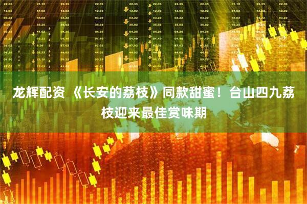 龙辉配资 《长安的荔枝》同款甜蜜！台山四九荔枝迎来最佳赏味期