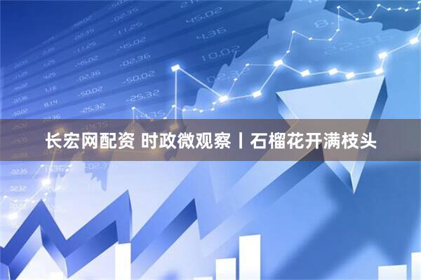 长宏网配资 时政微观察丨石榴花开满枝头
