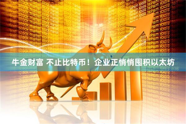牛金财富 不止比特币！企业正悄悄囤积以太坊