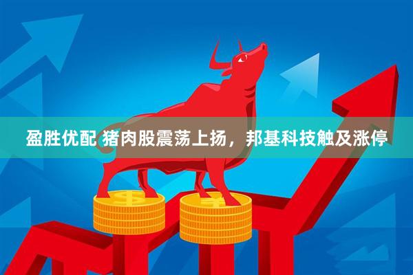 盈胜优配 猪肉股震荡上扬，邦基科技触及涨停