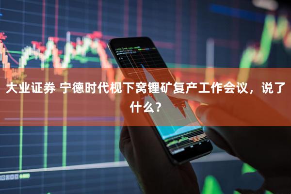 大业证券 宁德时代枧下窝锂矿复产工作会议，说了什么？
