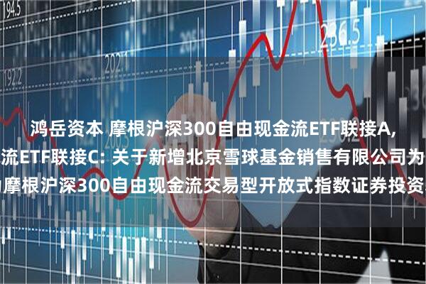 鸿岳资本 摩根沪深300自由现金流ETF联接A,摩根沪深300自由现金流ETF联接C: 关于新增北京雪球基金销售有限公司为摩根沪深300自由现金流交易型开放式指数证券投资基金联接基金代销机构的公告