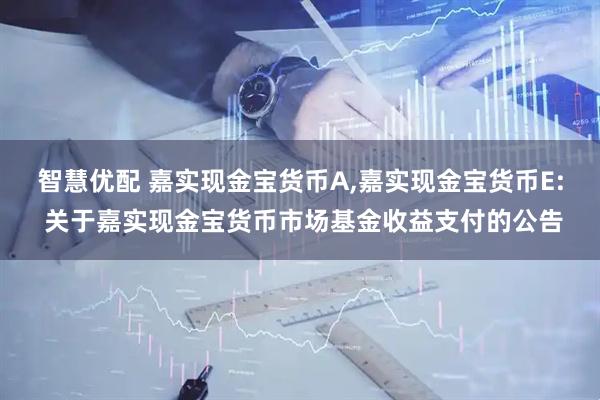 智慧优配 嘉实现金宝货币A,嘉实现金宝货币E: 关于嘉实现金宝货币市场基金收益支付的公告