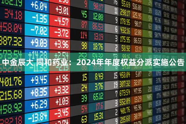 中金辰大 同和药业：2024年年度权益分派实施公告