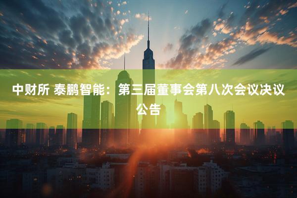 中财所 泰鹏智能：第三届董事会第八次会议决议公告