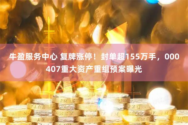 牛盈服务中心 复牌涨停！封单超155万手，000407重大资产重组预案曝光