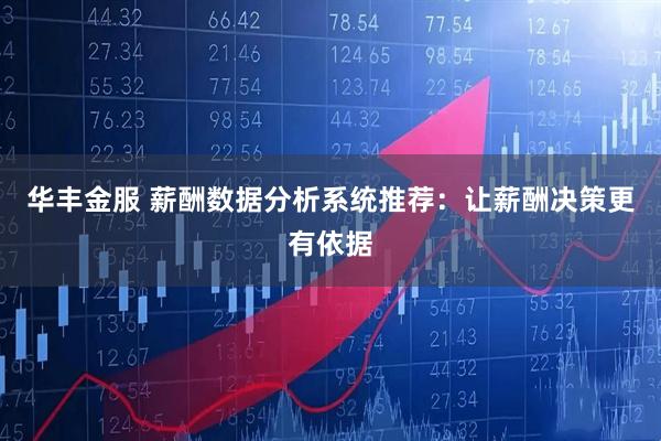 华丰金服 薪酬数据分析系统推荐:让薪酬决策更有依据